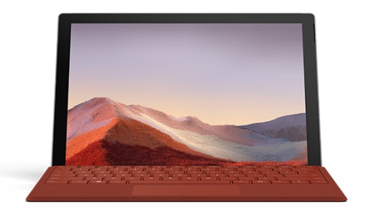 田阳清洁和维护 Surface